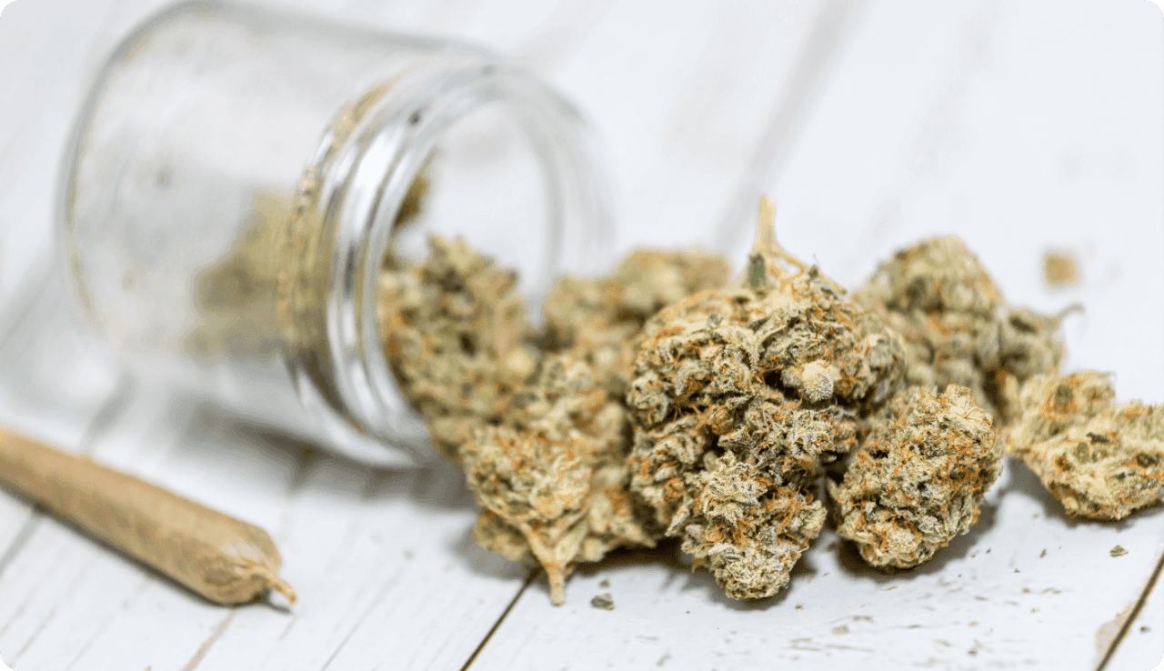 Transparente Glaskruke mit getrockneten Cannabisblüten und Pre-Roll