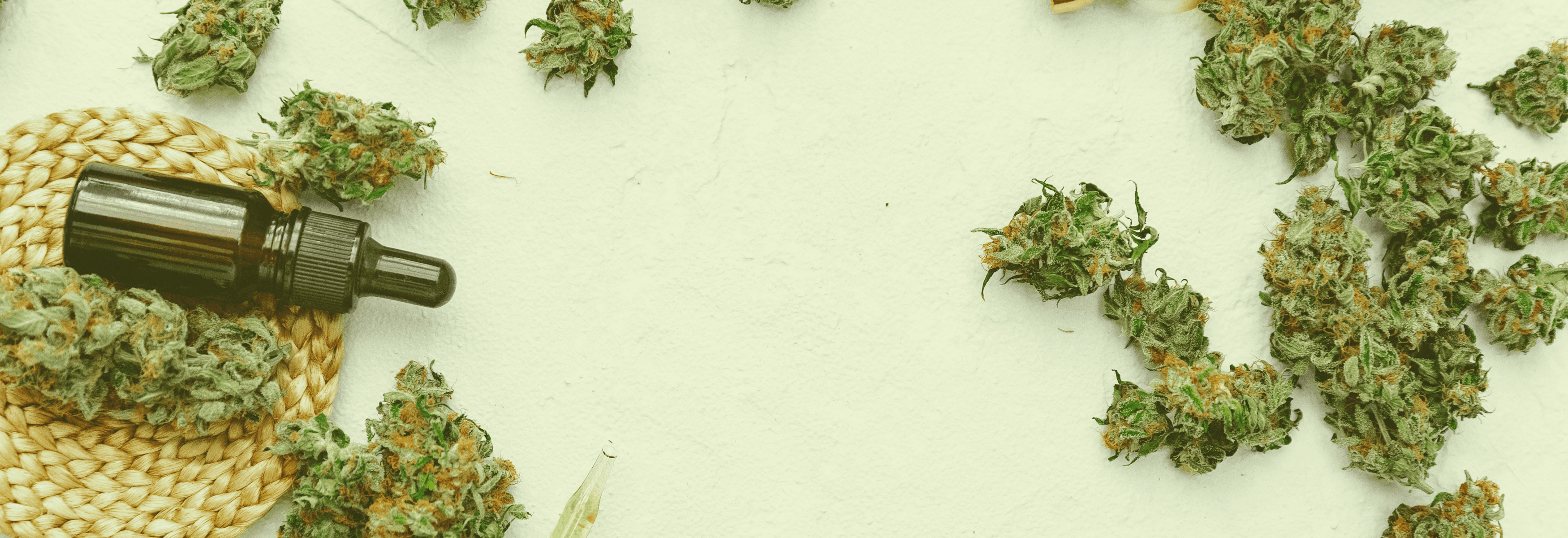 Pipettenflasche mit Cannabisölextrakt und Cannabisblüten